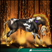 Horse Color:Brown Tobiano