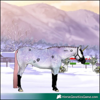 Horse Color:Void Painted Watercolor Silver Buckskin Ice Onyx Splash 