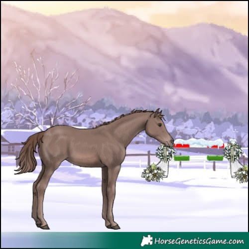 Horse Color:Platinum Chestnut 