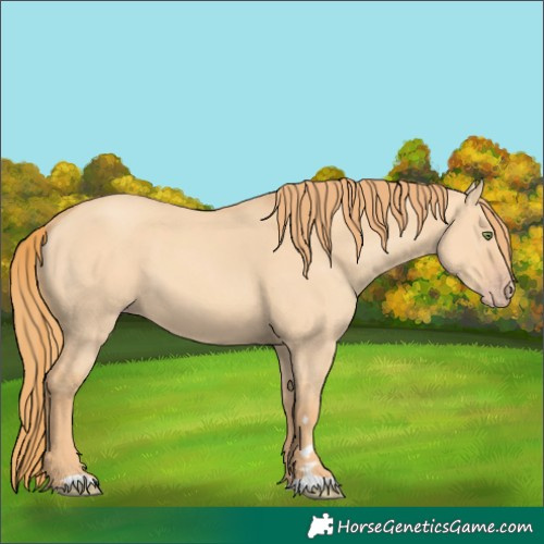 Horse Color:Gold Champagne Dun 