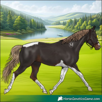 Horse Color:Liver Chestnut Tobiano 