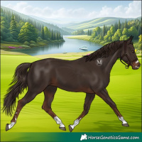 Horse Color:Liver Chestnut 