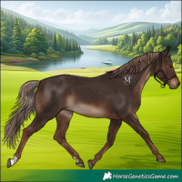 Horse Color:Liver Chestnut