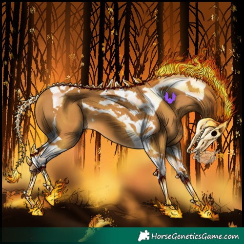 Horse Color:Palomino Tobiano 