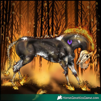 Horse Color:White Spotted Liver Chestnut Tobiano 