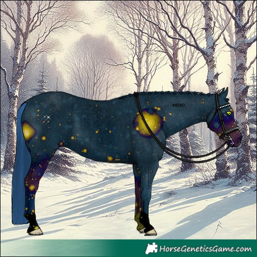 Horse Color:ERROR: UNKNOWN ANOMALY