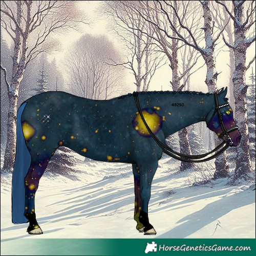 Horse Color:ERROR: UNKNOWN ANOMALY