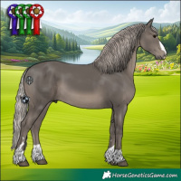 Horse Color:Silver Black 