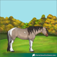 Horse Color:Bay Dun Tobiano 