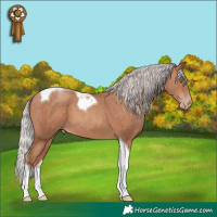 Horse Color:Silver Sable Champagne Tobiano 