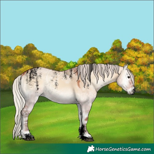 Horse Color:Powder White Void Silver Bay Ice Onyx Rabicano 