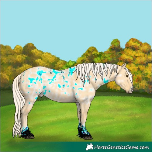 Horse Color:Powder White Palomino Ice Dun Rabicano 