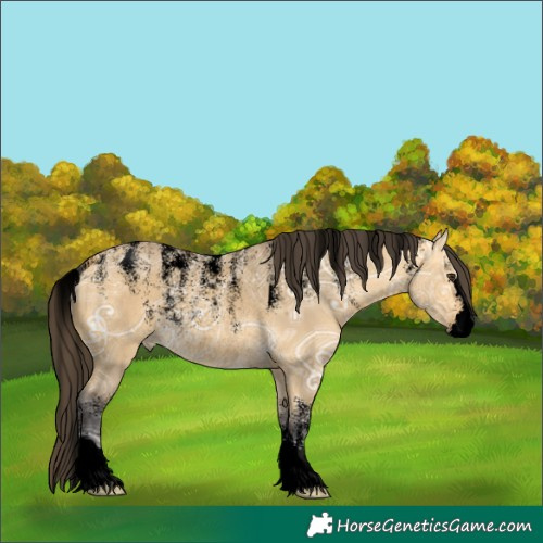 Horse Color:Powder White Void Buckskin Ice Dun Rabicano 