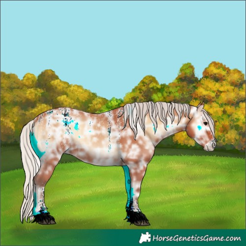 Horse Color:Powder White Silver Bay Ice Onyx Rabicano 