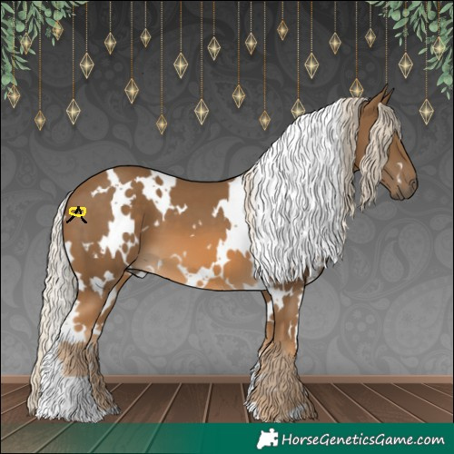 Horse Color:White Spotted Chocolate Palomino 