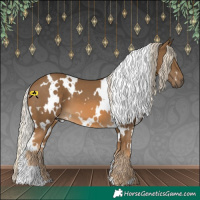 Horse Color:White Spotted Chocolate Palomino