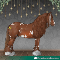 Horse Color:White Spotted Chestnut 