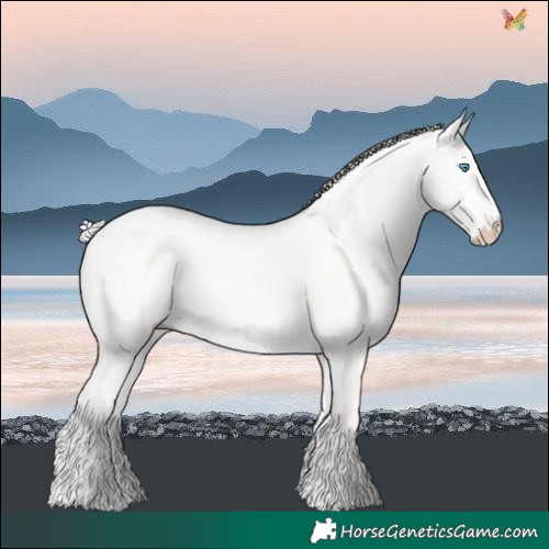 Horse Color:Cremello Dun 