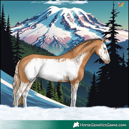 Horse Color:Chestnut Splash Frame  and Chestnut Splash Frame 