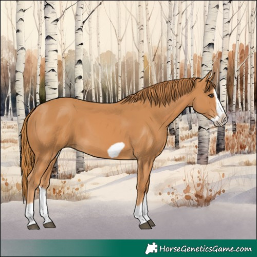 Horse Color:Chestnut Splash Frame