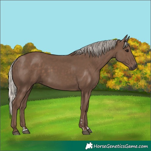 Horse Color:Silver Black 
