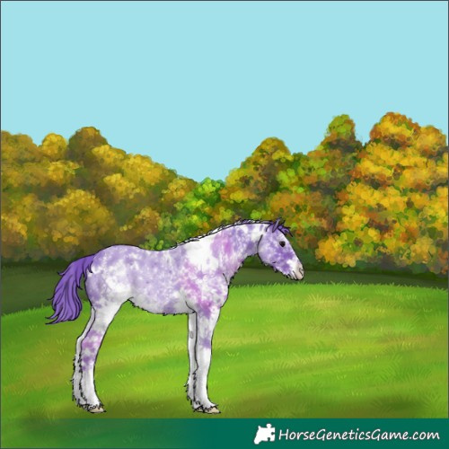Horse Color:Watercolor White Spotted Black 