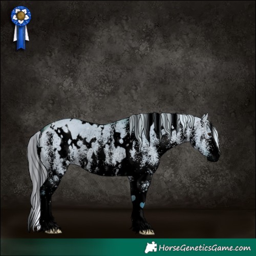 Horse Color:Void Watercolor White Spotted Silver Brown Dun Rabicano 