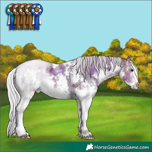 Horse Color:White Spotted Silver Black 