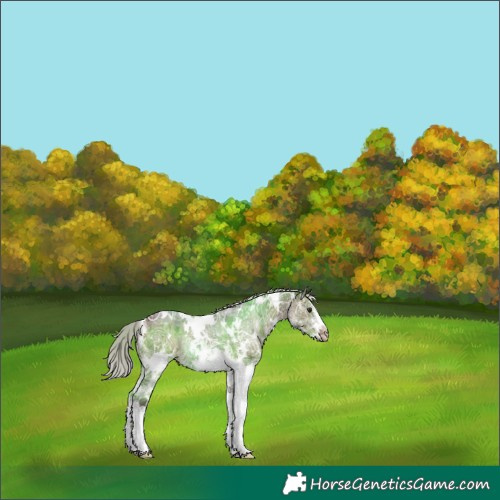 Horse Color:White Spotted Silver Brown Ice Dun Rabicano Brindle 