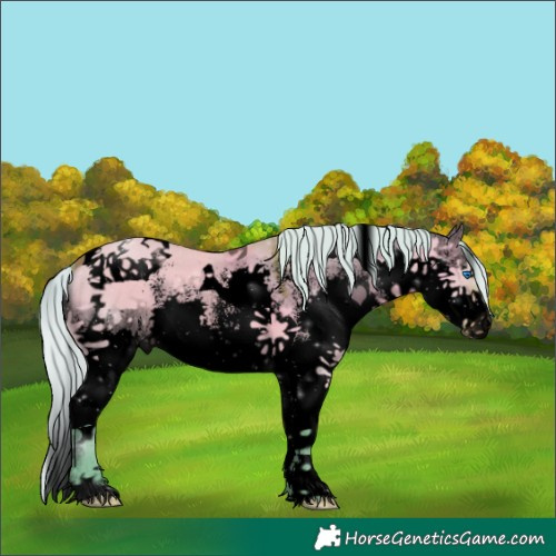 Horse Color:Void Watercolor White Spotted Silver Bay Dun Splash Tobiano 