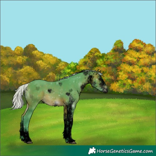 Horse Color:Void Watercolor White Spotted Silver Brown Tobiano 