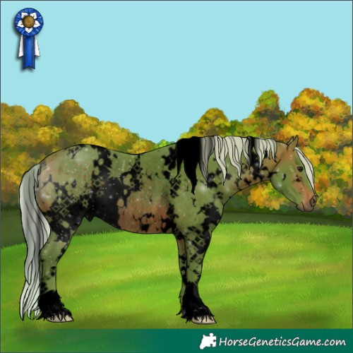 Horse Color:Void Watercolor White Spotted Silver Brown Rabicano 