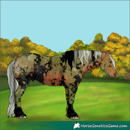 Horse Color:Void Watercolor White Spotted Silver Brown Rabicano 