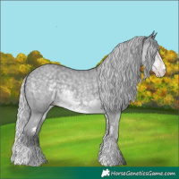 Horse Color:Silver Classic Cream Champagne Chinchilla Sabino