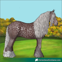 Horse Color:Chocolate Silver Black Chinchilla