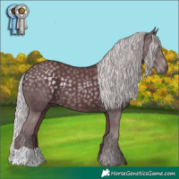 Horse Color:Chocolate Silver Black Chinchilla 