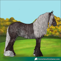 Horse Color:Chocolate Silver Black Chinchilla Ice