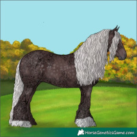 Horse Color:Chocolate Silver Black Chinchilla Ice