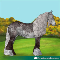 Horse Color:Chocolate Silver Buckskin Chinchilla Ice 