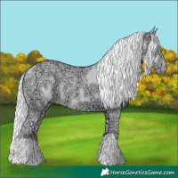 Horse Color:Chocolate Silver Smoky Creme Chinchilla Ice 