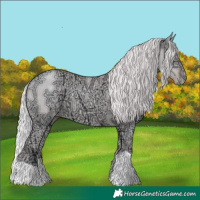 Horse Color:Chocolate Silver Classic Cream Champagne Chinchilla Ice