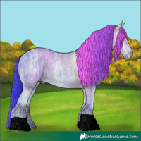 Horse Color:Watercolor Bay Ice