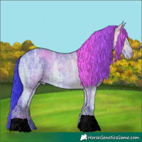 Horse Color:Watercolor Bay Ice 