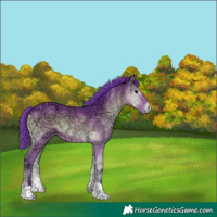Horse Color:Watercolor Bay Ice Onyx 