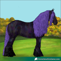 Horse Color:Watercolor Midnight Bay Ice 