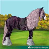 Horse Color:Watercolor Chestnut Ice 