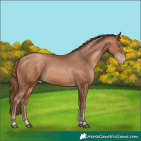 Horse Color:Brown Pearl 