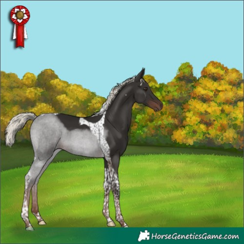 Horse Color:Liver Chestnut Mushroom Tobiano 