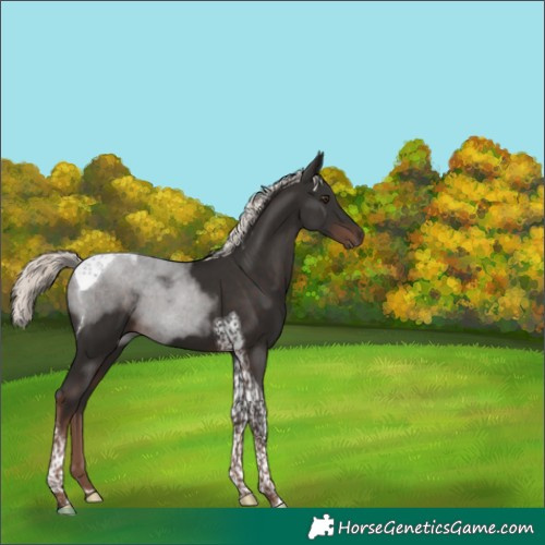 Horse Color:Liver Chestnut Mushroom Tobiano 