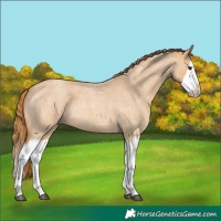 Horse Color:Red Dun Roan Splash Frame Rabicano 
